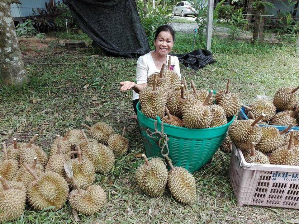 Phoohongsa Resort Nakhon Nayok Esterno foto